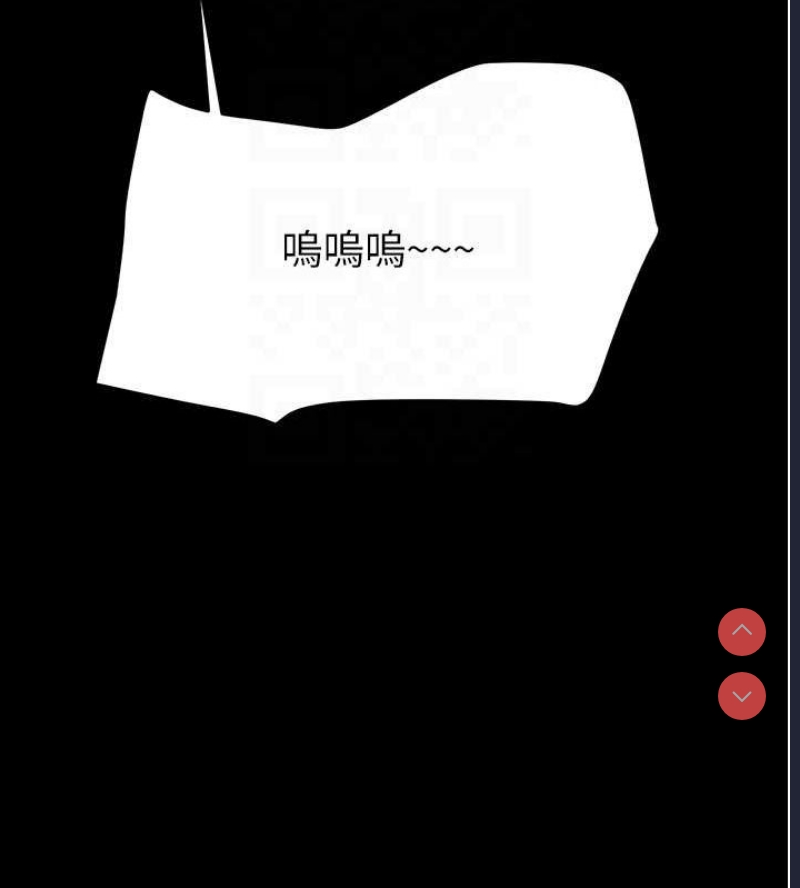 掠夺行动