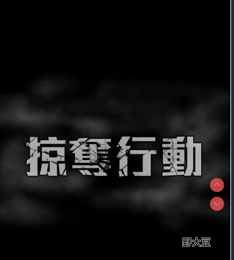 掠夺行动