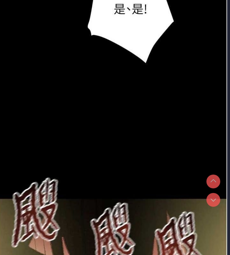 掠夺行动