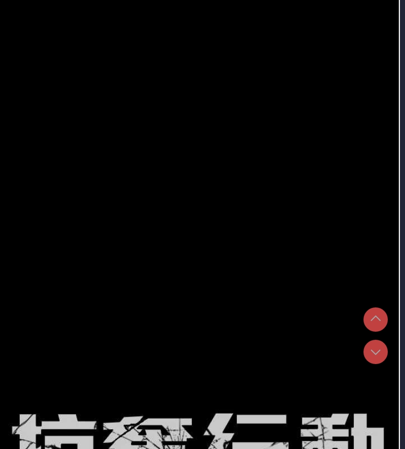 掠夺行动