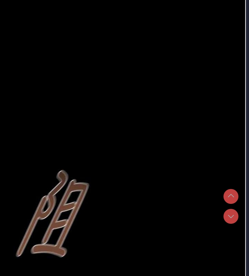 掠夺行动