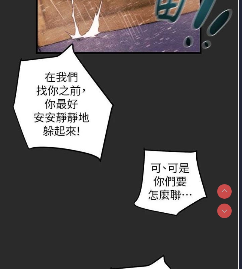 掠夺行动