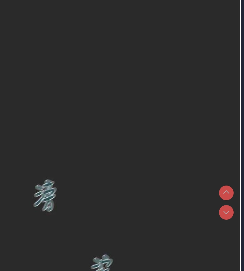 掠夺行动