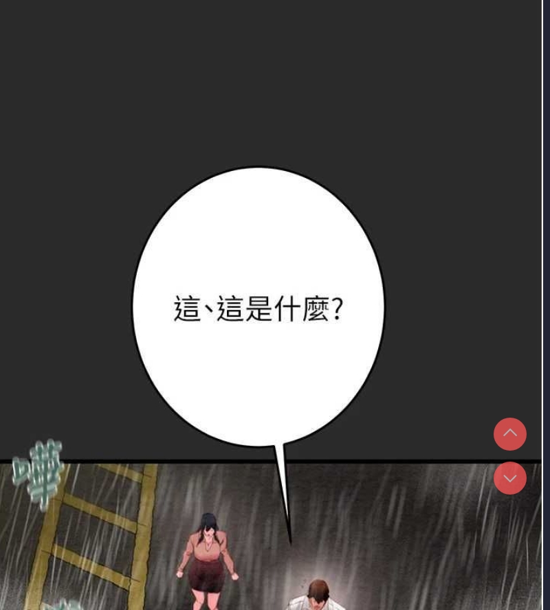 掠夺行动