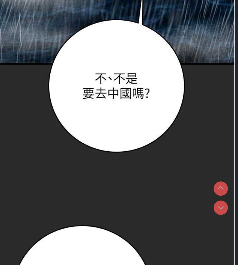 掠夺行动