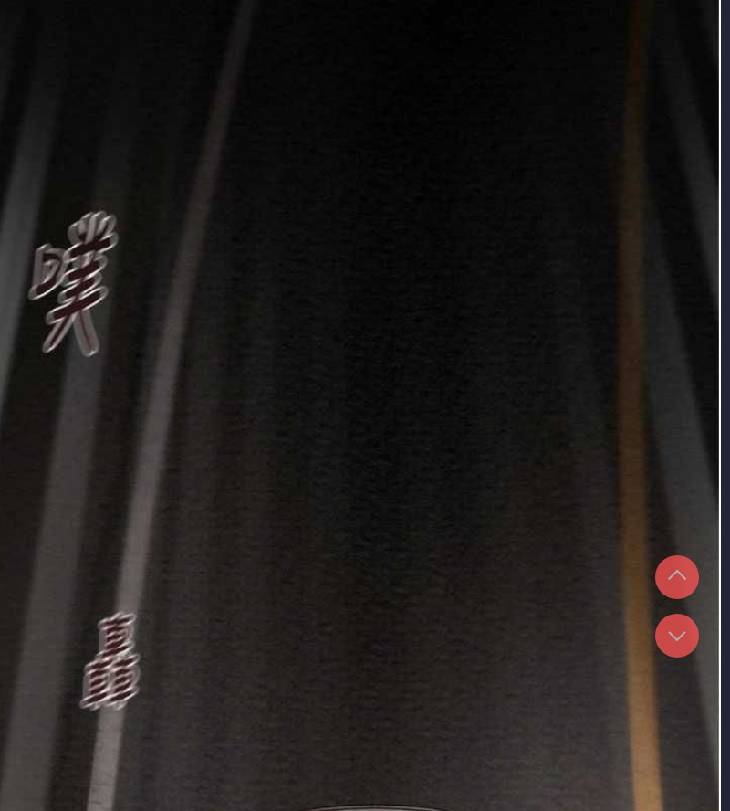 掠夺行动