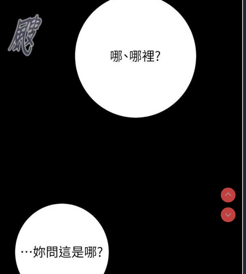 掠夺行动