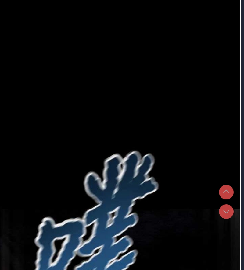掠夺行动