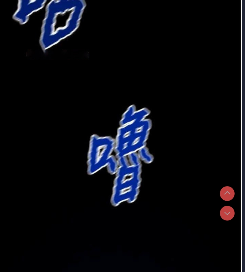 掠夺行动