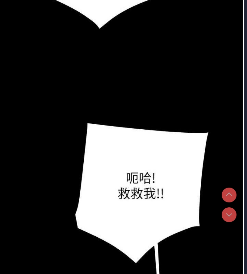 掠夺行动