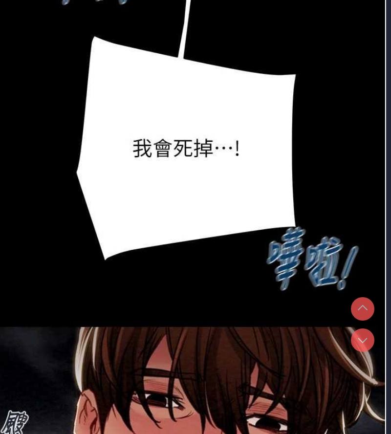 掠夺行动