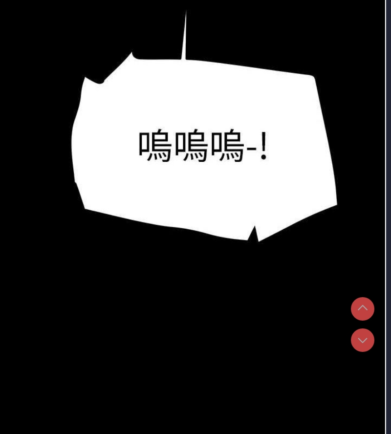 掠夺行动