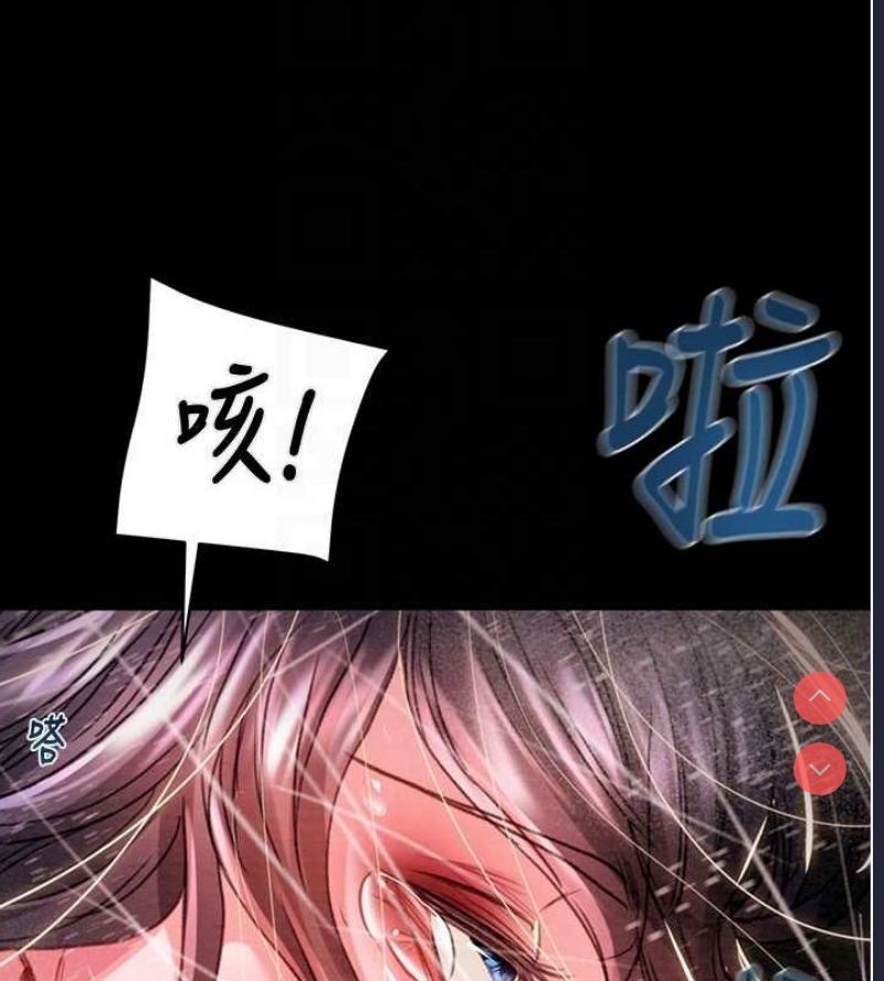 掠夺行动