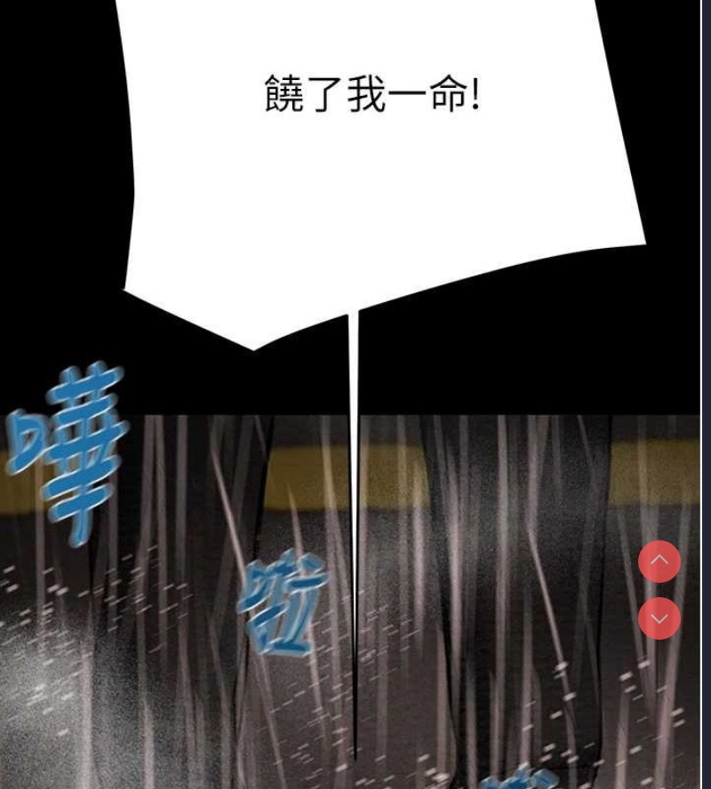 掠夺行动