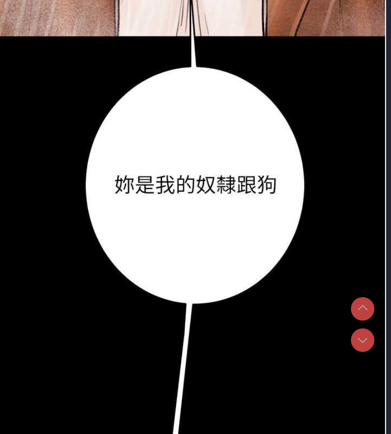 掠夺行动