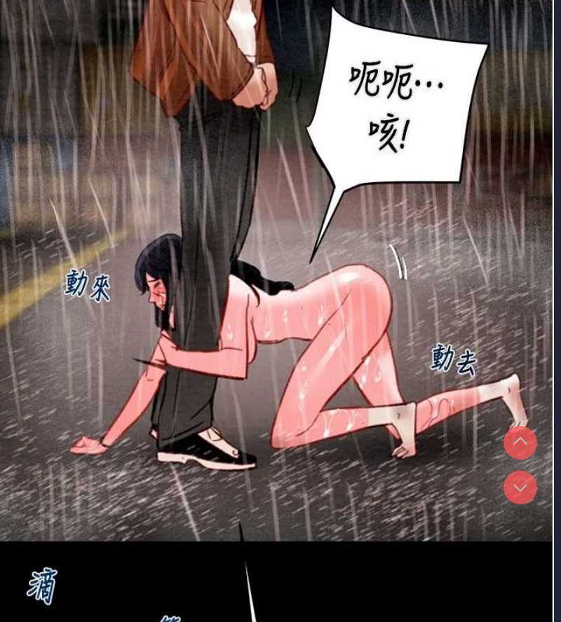 掠夺行动