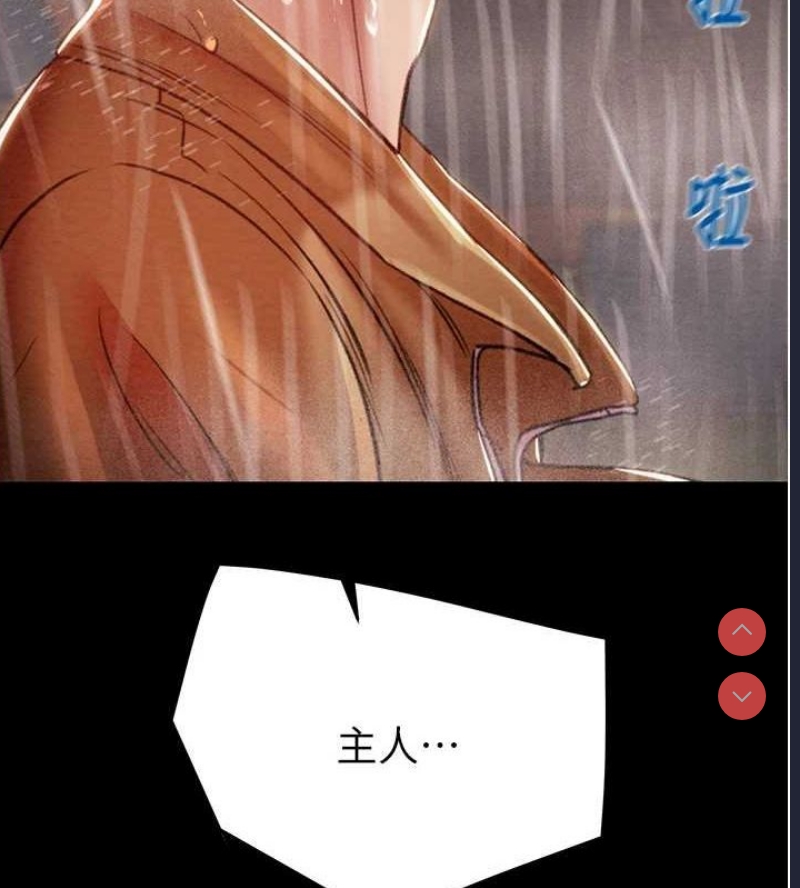 掠夺行动