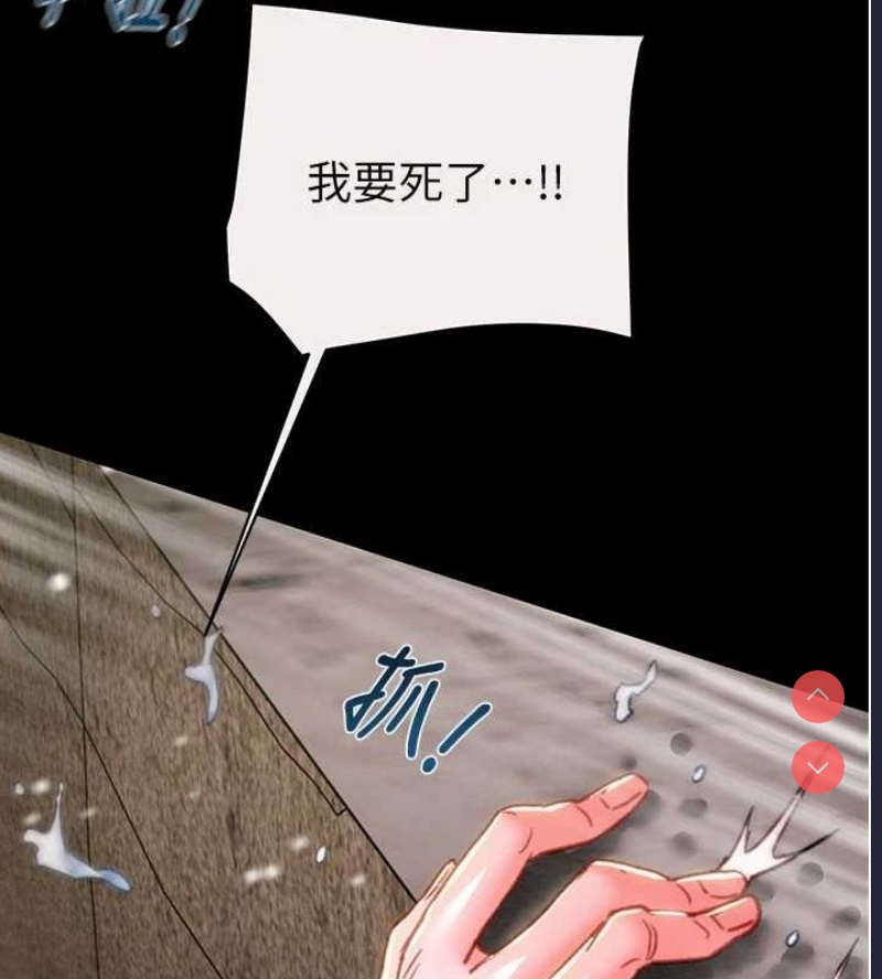 掠夺行动