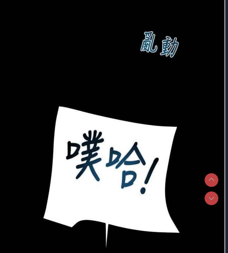 掠夺行动