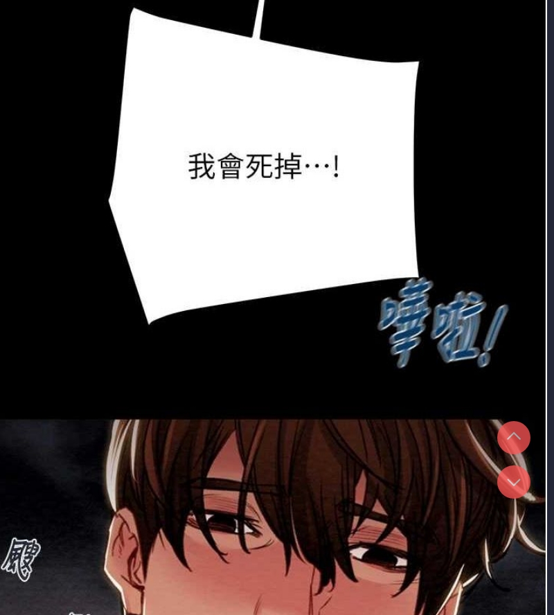 掠夺行动