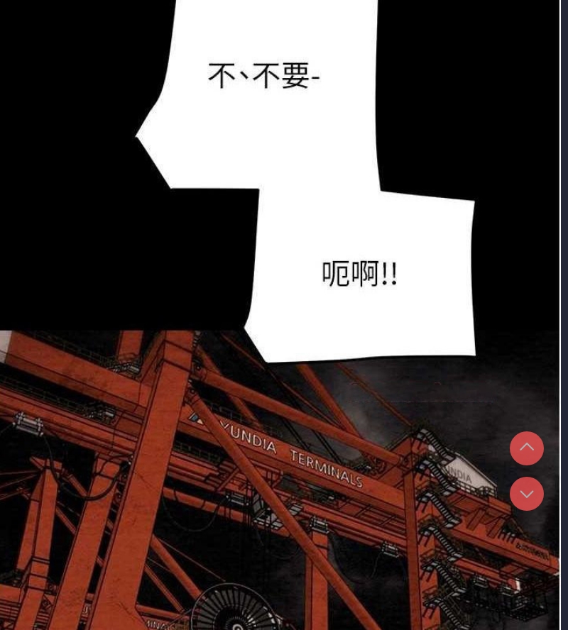 掠夺行动