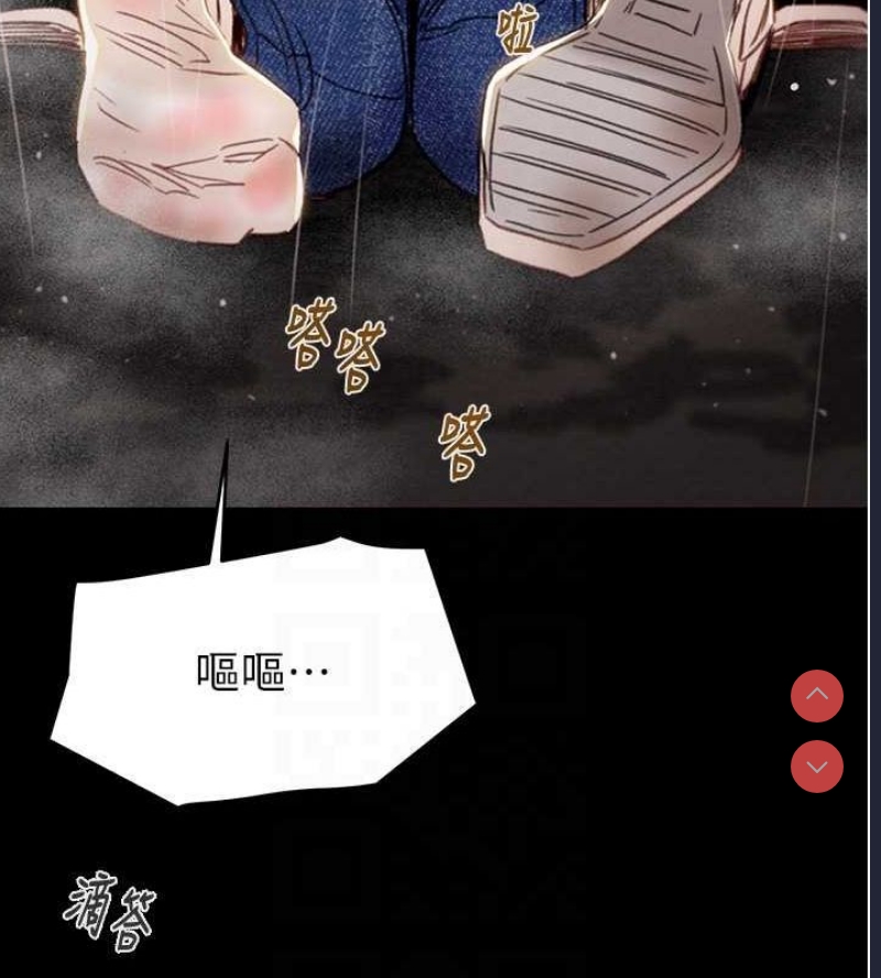 掠夺行动