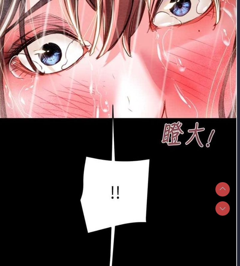 掠夺行动