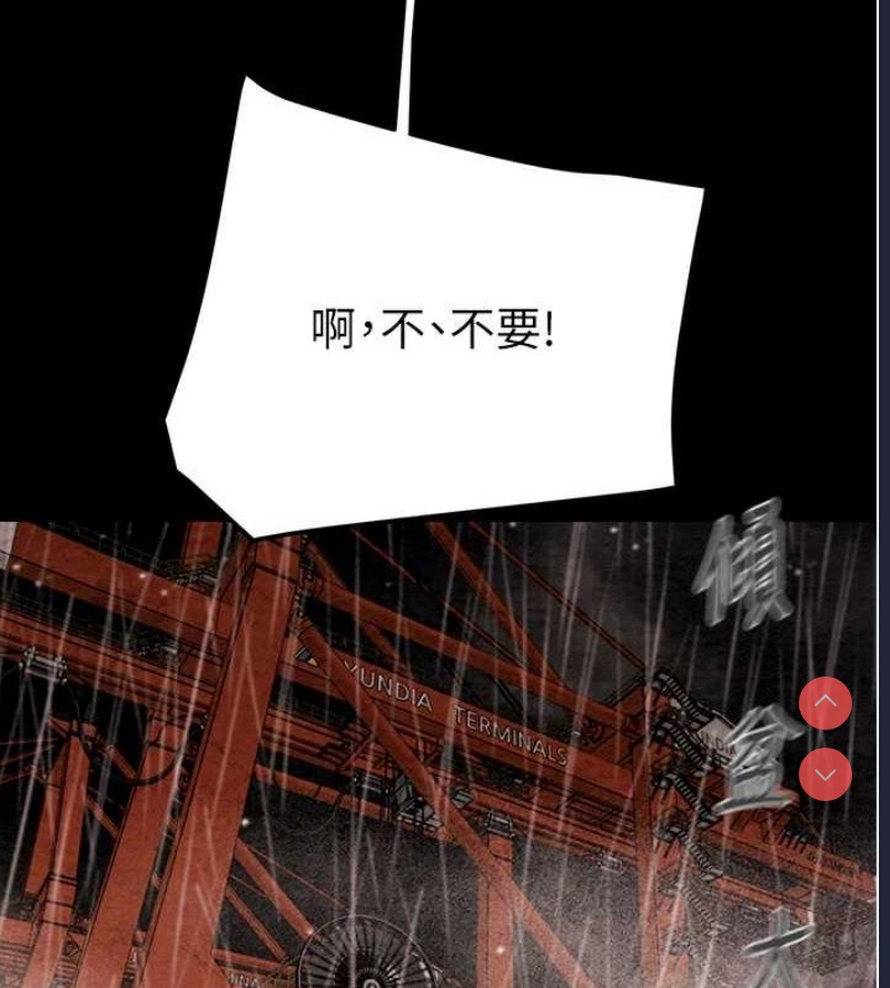 掠夺行动