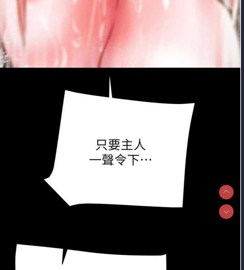 掠夺行动