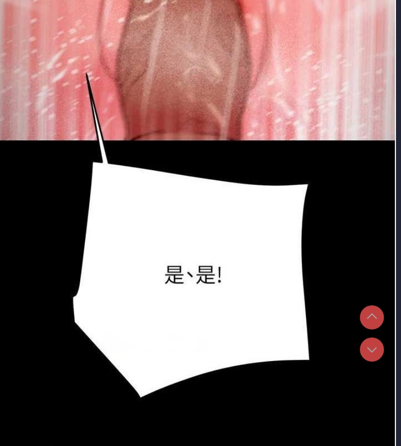 掠夺行动