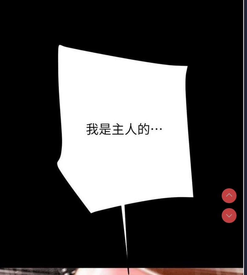 掠夺行动