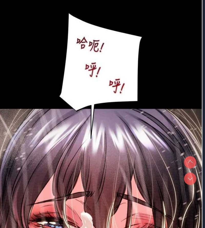 掠夺行动