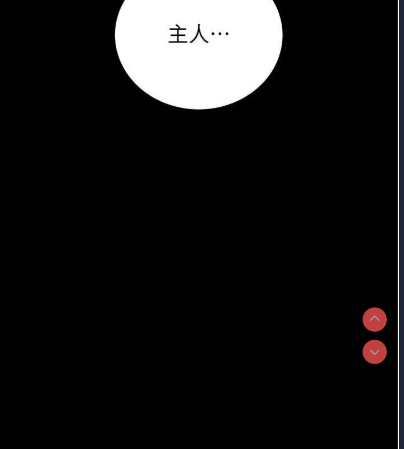 掠夺行动