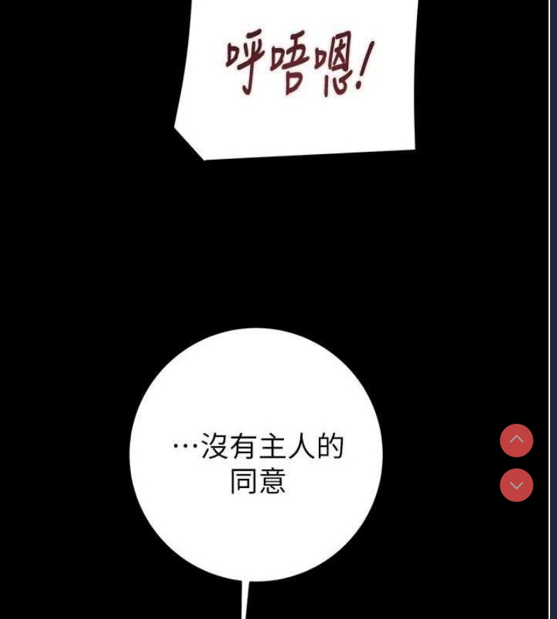 掠夺行动