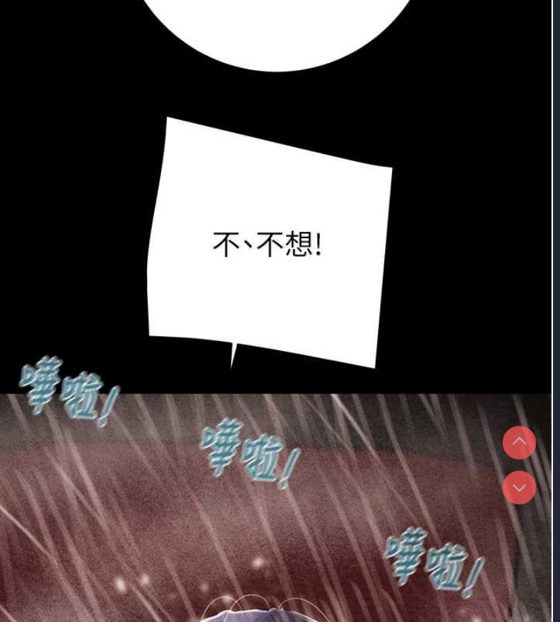 掠夺行动