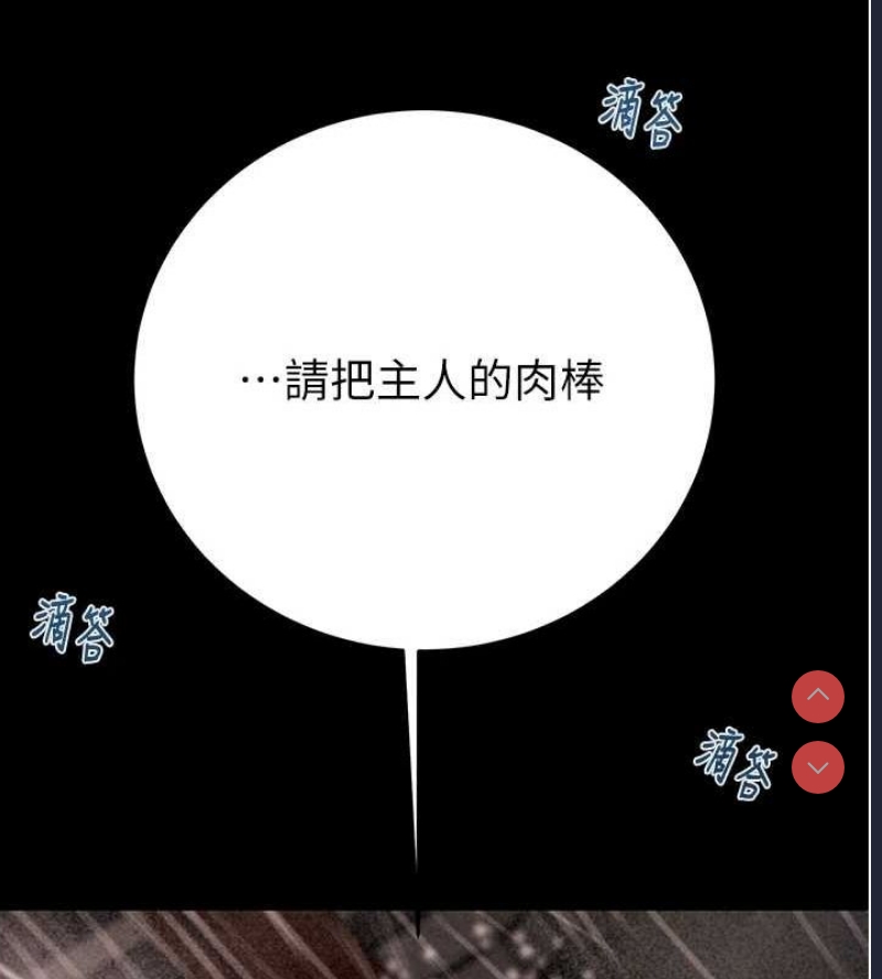 掠夺行动
