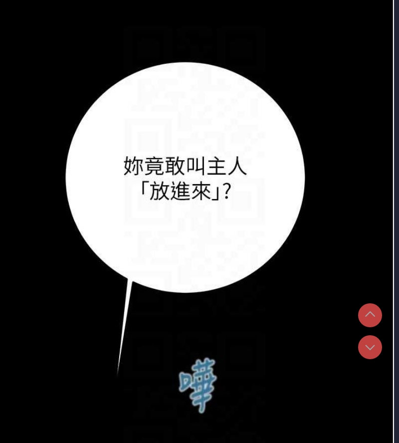 掠夺行动