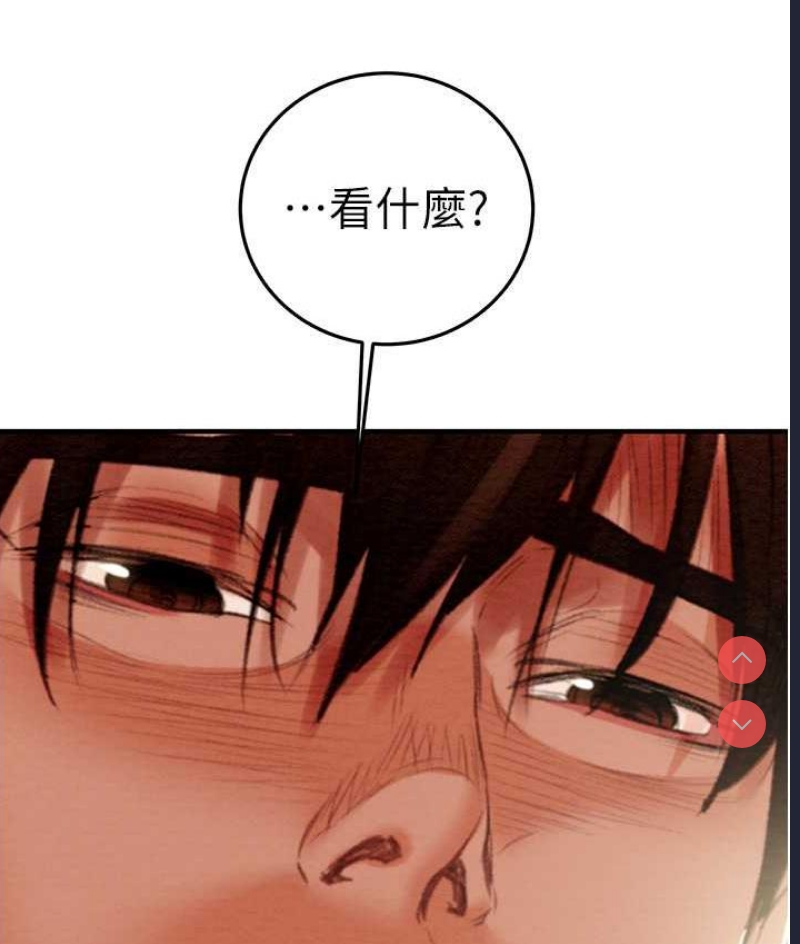 掠夺行动