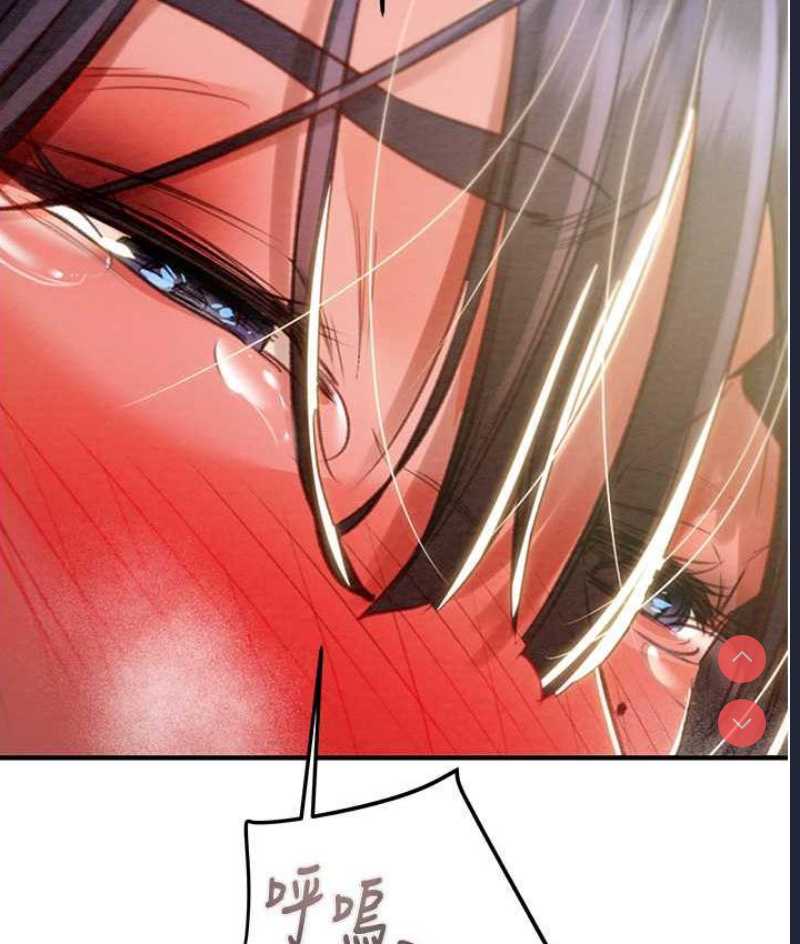 掠夺行动