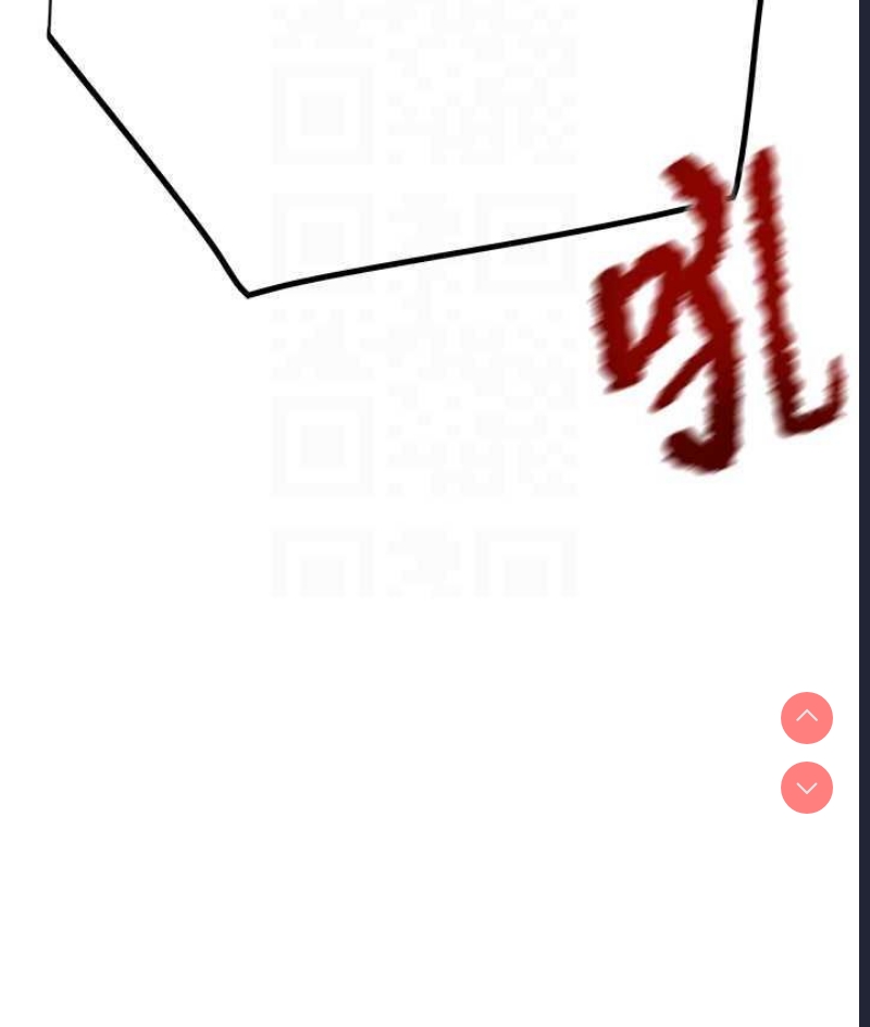 掠夺行动