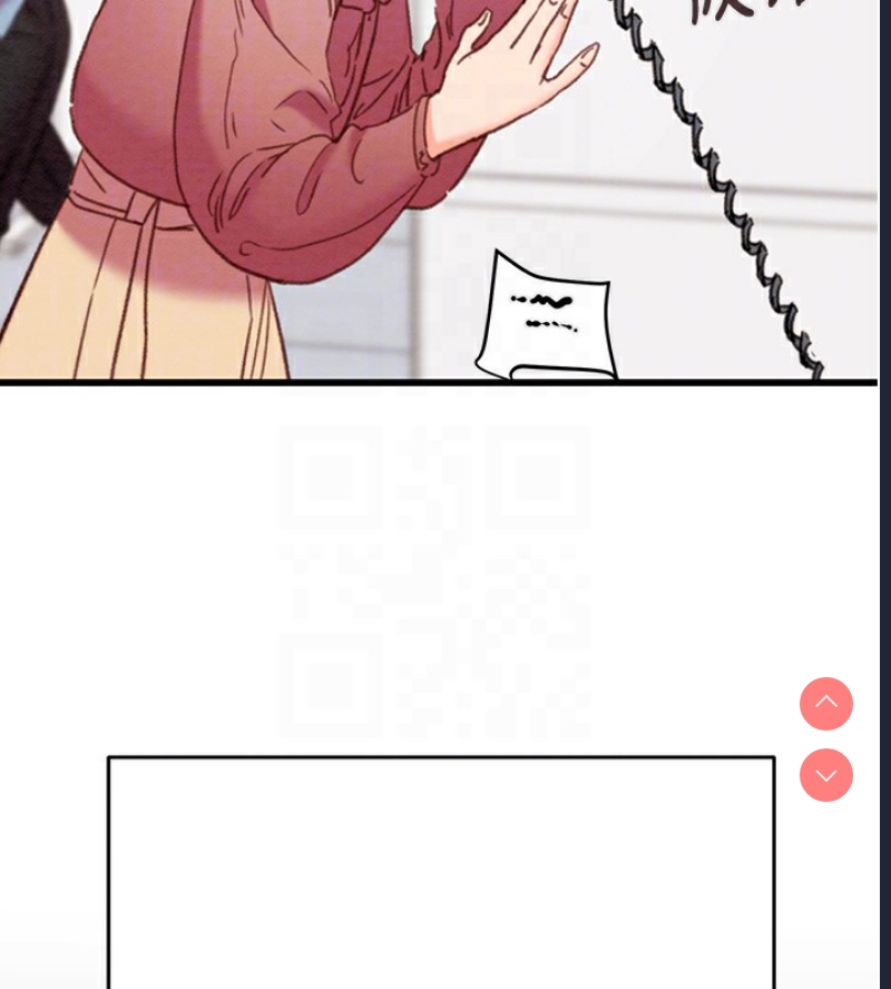 掠夺行动