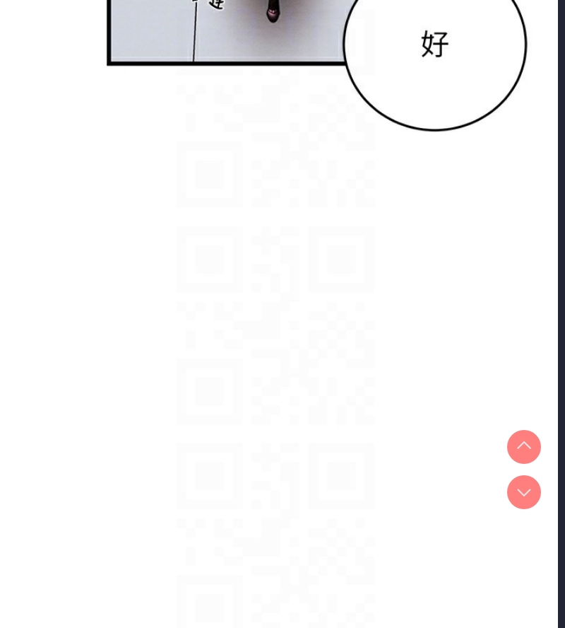 掠夺行动