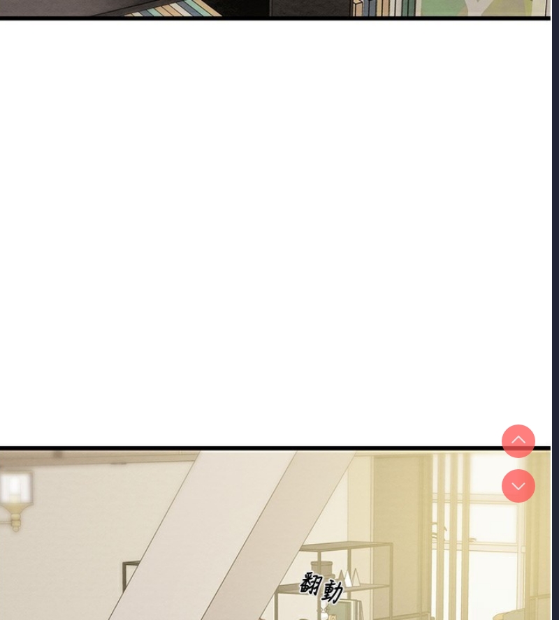 掠夺行动