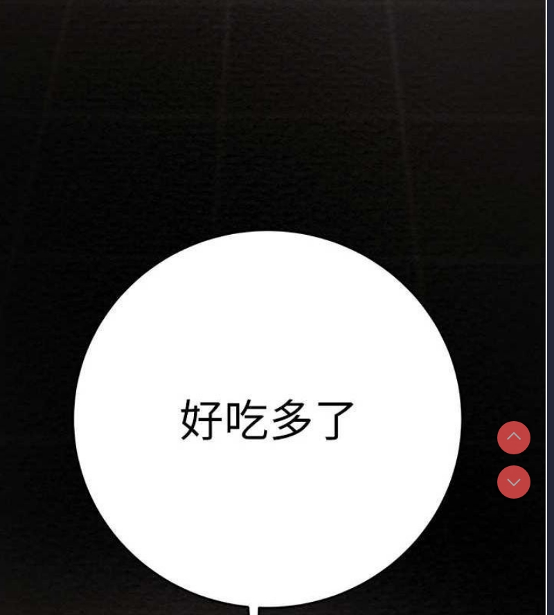 掠夺行动