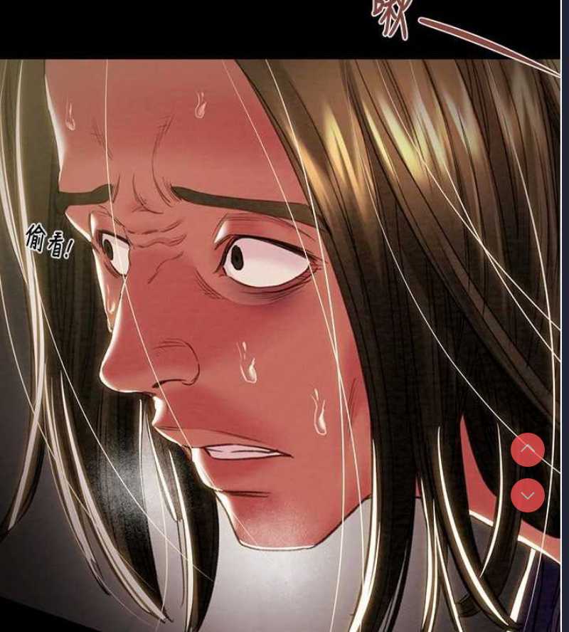 掠夺行动