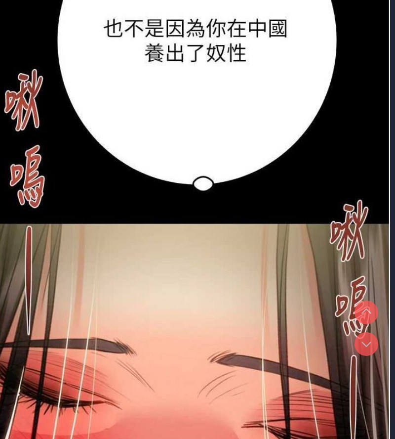 掠夺行动