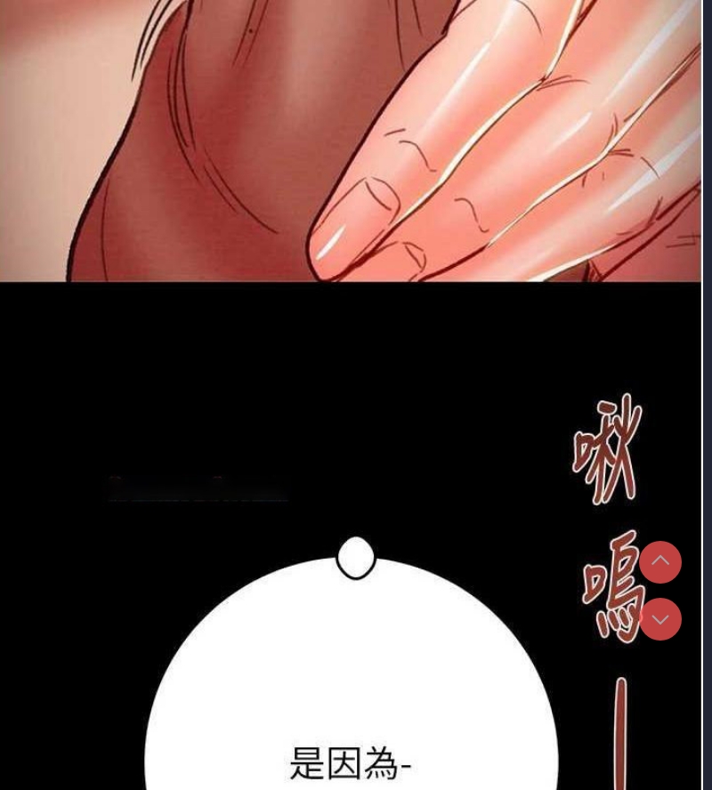 掠夺行动