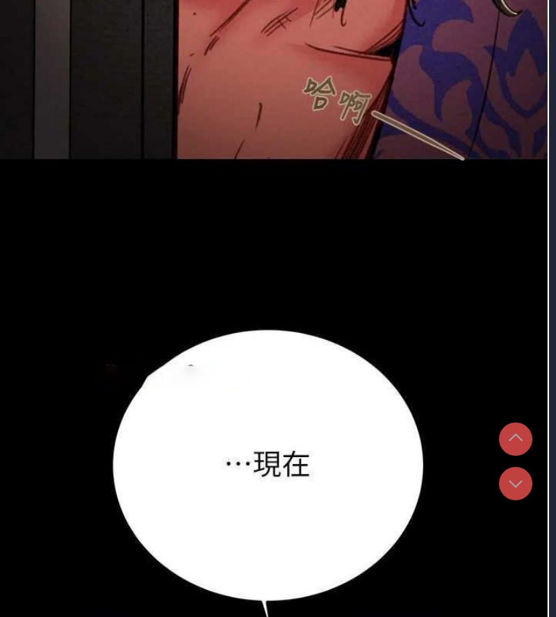 掠夺行动