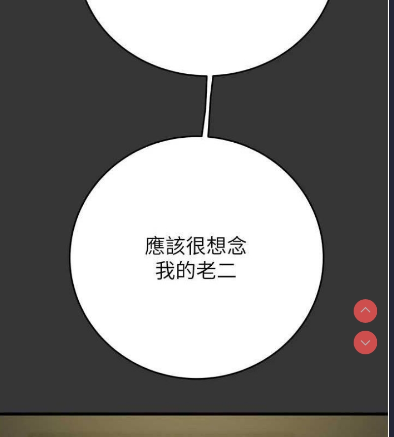 掠夺行动