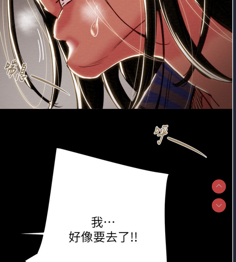 掠夺行动